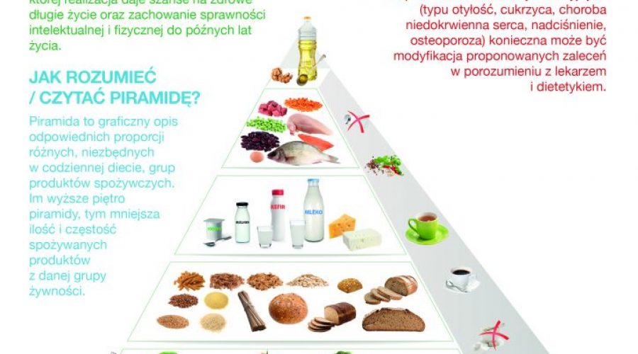 Piramida żywienia